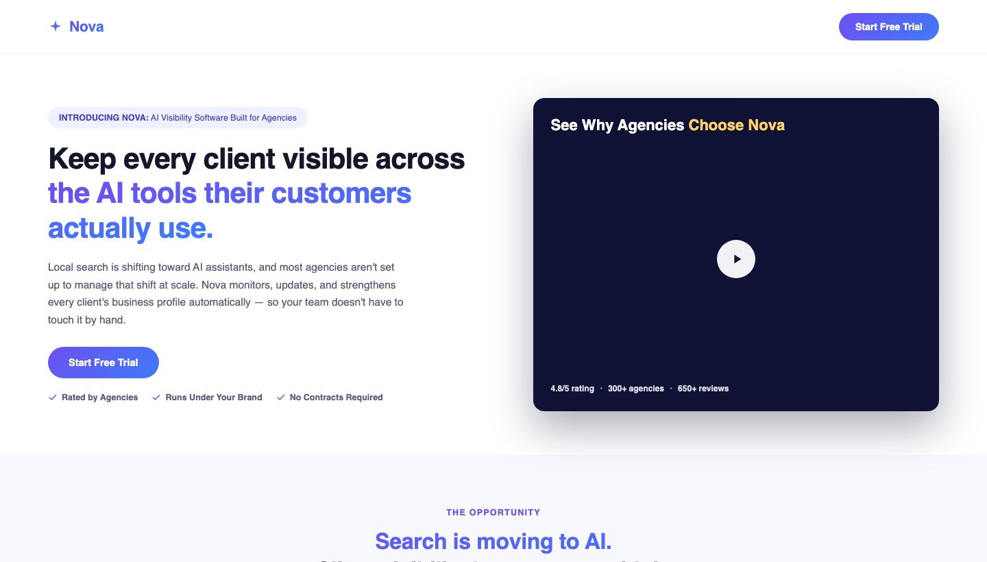 Agency & Consultant website template preview